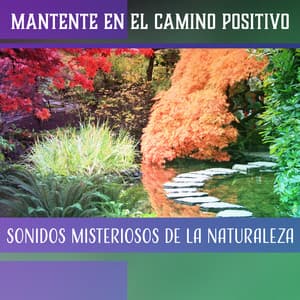 Mantente en el Camino Positivo - Sonidos Misteriosos de la Naturaleza - Academia de Sonidos de la Naturaleza para el Masaje