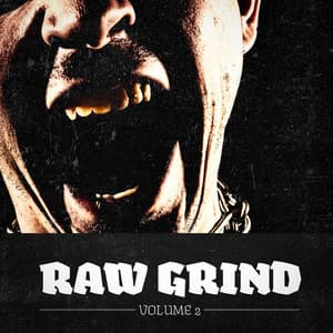 Raw Grind, Vol. 2 - Guitar Metal Heroes