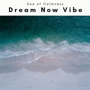 Dream Now Vibe - Sea of Calmness
