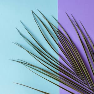 Backdrop for Deep Realities - Mysterious Latin Music - Easy Sunday Listening