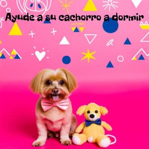 Ayude a su cachorro a dormir: Terapia especial: Música para perros, Terapia de mascotas curativas, Hora de dormir para cachorros - Music for Dogs!