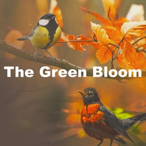 The Green Bloom - The Natural Healing Project