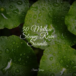 50 Mellow Sleepy Rain Sounds - FX & Effects