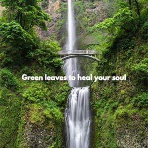 Green leaves to heal your soul - Work Music