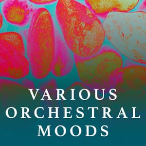 Various Orchestral Moods - Valeriy Antonyuk