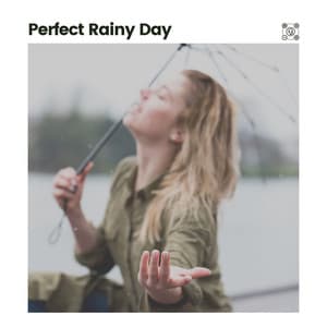 Perfect Rainy Day - Rain Sounds for Relaxation