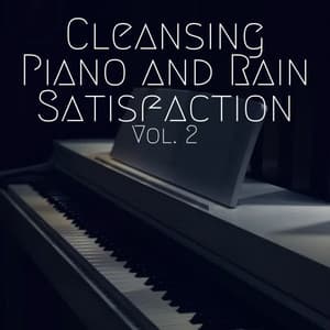 Cleansing Piano and Rain Satisfaction Vol. 2 - Nature Vibrations