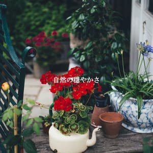 自然の穏やかさ - Jazz Lounge Bar Radio