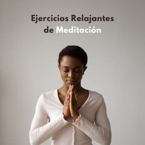 Ejercicios Relajantes De Meditación - Hippidion