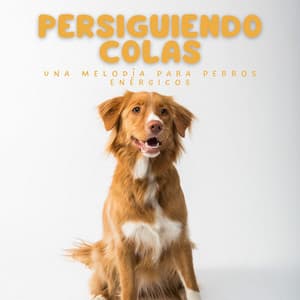 Persiguiendo Colas: Una Melodía Para Perros Enérgicos - Beats binaurales MT