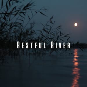 Restful River: Nature Stream Meditations for Sleep - Healing Meditation