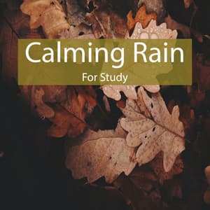 Calming Rain for Study - Study Music & Sounds