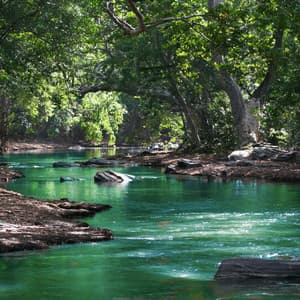 Calming Running River for Meditation - The Sound of Danish Nature