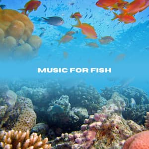 Music For Fish - Relaxing Piano For Pets