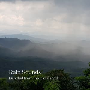 Rain Sounds: Drizzled from the Clouds Vol. 1 - Rain In Spain