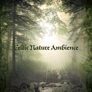 Celtic Nature Ambience: Relaxation for Mind & Body, Positive Affirmations, Nature Sounds for Meditation - Irish Celtic Music