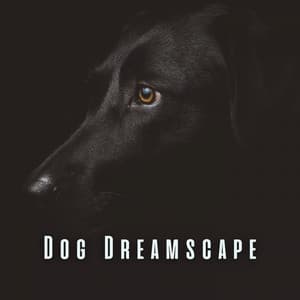 Dog Dreamscape: White Noise for Relaxing Canine Nights - White Noise Android