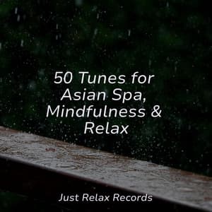 50 Tunes for Asian Spa, Mindfulness & Relax - Spa Relaxation & Spa