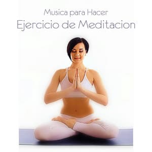 Musica para Hacer Ejercicio de Meditacion y Relajamiento, Yoga, Tai Chi, Reiki, Pilates - Nueva Era Especialistas