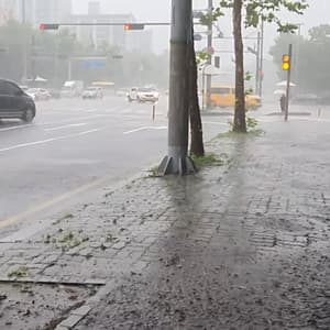 Heavy Rain While Walking Down the Street - ame