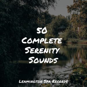 50 Complete Serenity Sounds - Sol y Lluvia
