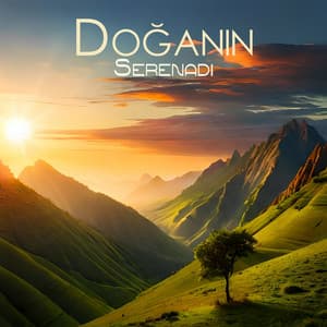 Doğanın Serenadı - Jane Maitri