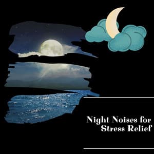 Night Noises for Stress Relief - Night Nature Sounds