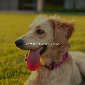 パウズ・アンド・リスン - Easy Morning Music