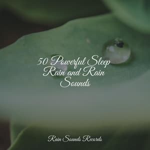 50 Powerful Sleep Rain and Rain Sounds - Meditation
