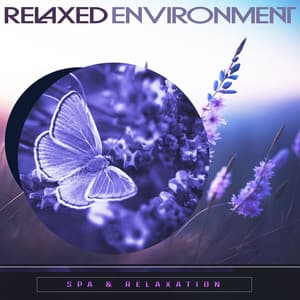 Relaxed Environment - Spa Relaxation