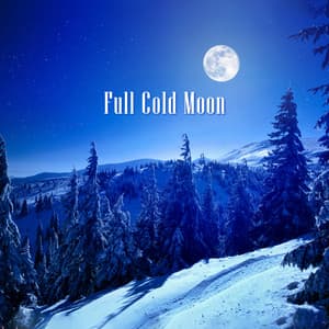 Full Cold Moon: Binaural Frequencies of Winter Solstice, Time of Positive Transformation, Explore Unconsciousness, Introspection and Awareness - Healing Frequency Music Zone
