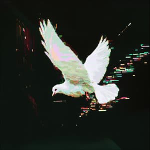 Aerial Dwellers of the Woods - Forest Soundscapes