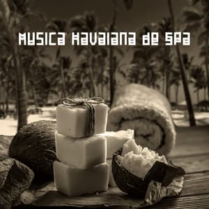 Música Havaiana de Spa: Ukulele e Guitarra Havaiana, Lomi Lomi Masaje para Relaxamento - Academia de Música para Massagem Relaxamento