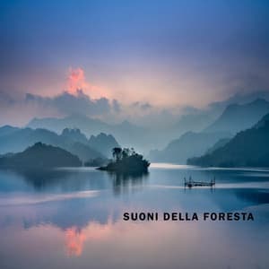 Suoni della Foresta per Dormire Profondamente - Musica Rilassante per Dormire