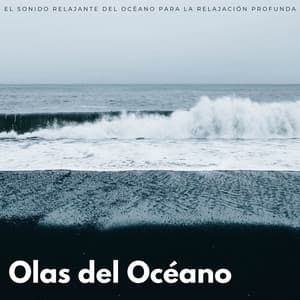 Olas Del Océano: El Sonido Relajante Del Océano Para La Relajación Profunda - Musica Instrumental Para Relajar tus Sentidos