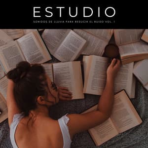 Estudio: Sonidos De Lluvia Para Reducir El Ruido Vol. 1 - Tiempo de estudio