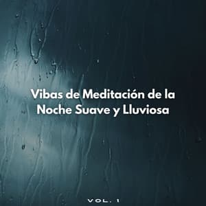 Vibas De Meditación De La Noche Suave Y Lluviosa Vol. 1 - Meditaciones de lluvia