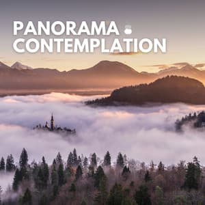 Panorama Contemplation - Healing Yoga Meditation Music Consort