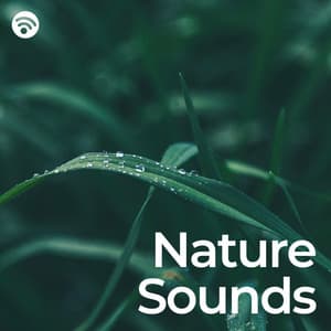 Nature Sounds: Noises for Relax and Sleep - Sons da Natureza