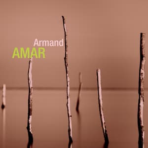 Retrospective - Armand Amar