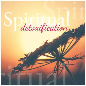 Spiritual Detoxification: Music For Rest And Recovery, Stress Relief Music, Nature Sounds For Sleep Relaxation after a Working Day - Scents of Spa