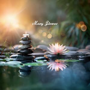 Wellness Sanctuary - Mary Flowes