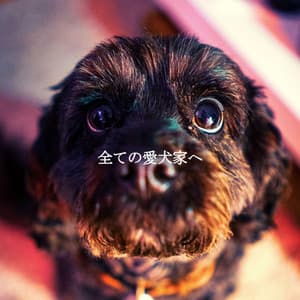 全ての愛犬家へ - Restaurant Jazz Music Project