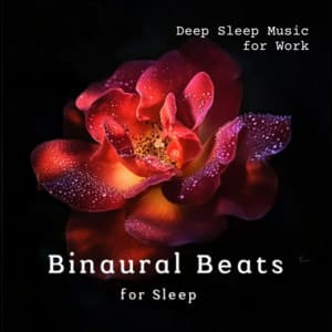 Deep Sleep Music - for Work - Binaural Beats for Sleep