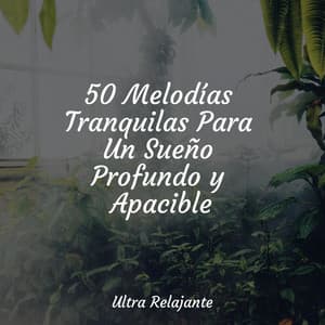 50 Melodías Tranquilas Para Un Sueño Profundo y Apacible - Dulces Sueños