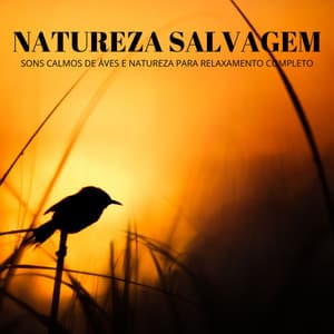 Natureza Salvagem: Sons Calmos De Áves e Natureza Para Relaxamento Completo - Música de Relaxamento No Spa