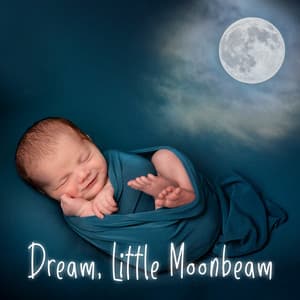 Dream, Little Moonbeam - Sleeping Little Lions