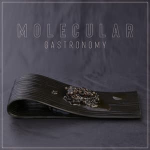 Molecular Gastronomy: Best Restaurant Instrumental Background Music - Restaurant Jazz Music Collection