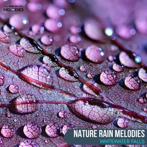 Nature Rain Melodies - Whitewater Falls - The Rain Library