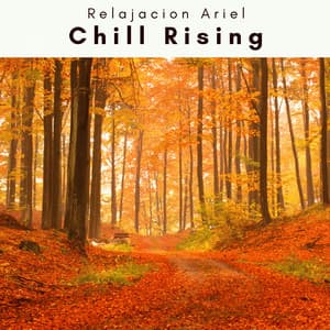 4 Rel: Chill Rising - Relajacion Ariel